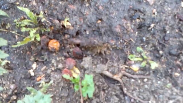 эксперимент 2 смотреть онлайн