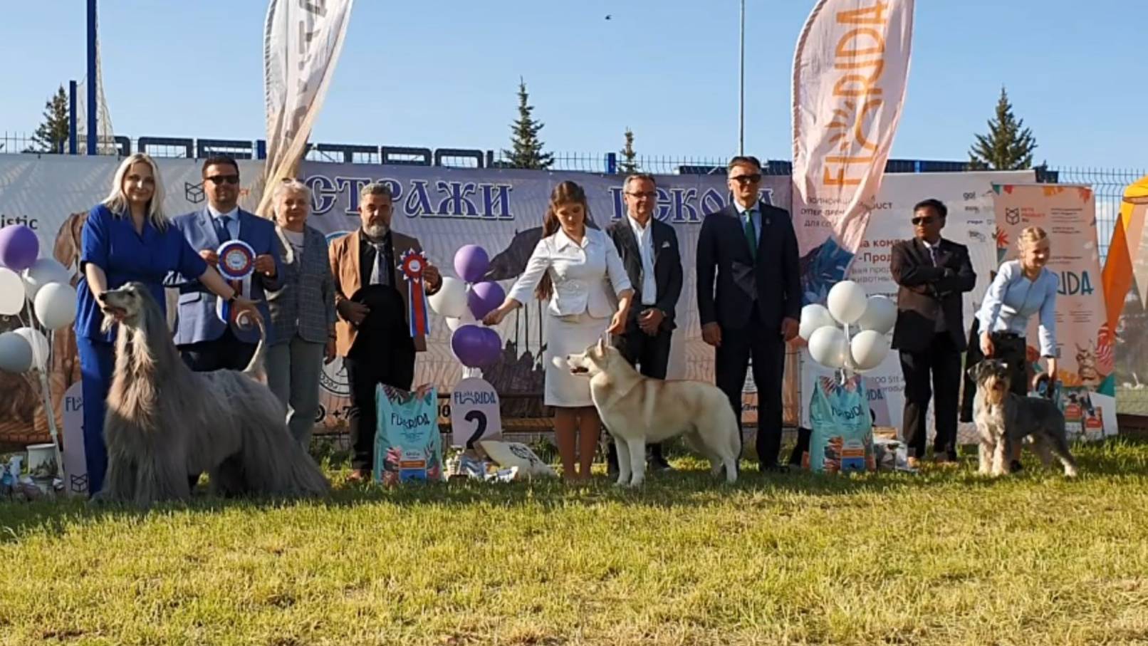 01.06.2025, Псков. Клуб БЭСТ (РКФ, РФОС). Рейтинговая выставка СТРАЖИ ПСКОВА (САС, ЧРКФ) смотреть онлайн