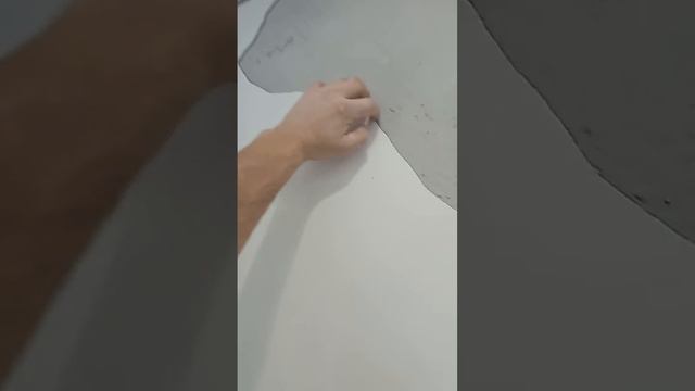 Отошла штукатурка от застройщика смотреть онлайн