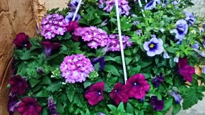 ЖИВЁМ НА ДАЧЕ. ДЖЕННИ НРАВИТСЯ.