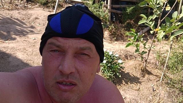 Пришлось увезти собаку смотреть онлайн