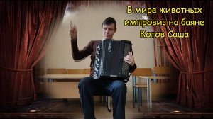 В мире животных Импровиз на баяне для подписчика Рустама от викинга #топыкатегорий
