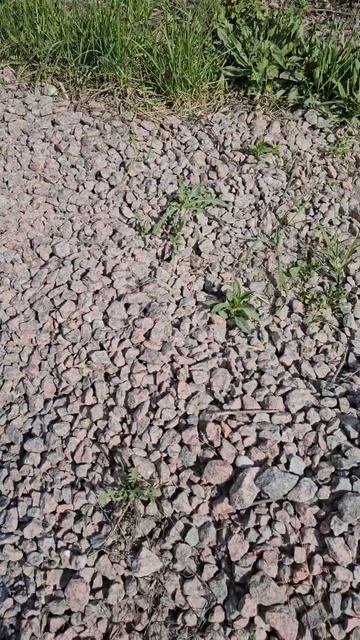 гранитный щебень доставка. 89308156197. гранит-5 смотреть онлайн
