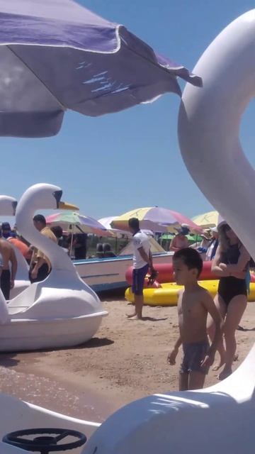 лето золотые пески 2021 год смотреть онлайн