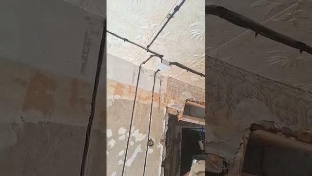 Делаем малышку))) что успели за день.
Фирма Электрик Брянск:
Заявку на замену электропроводки можно смотреть онлайн