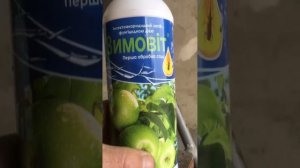 Чем заменить БОРДОСКУЮ СМЕСЬ! #fruit #сад #садоводничеств