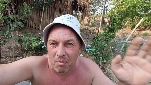Природа запустила обратный отсчёт Мы все заслужили это смотреть онлайн