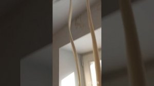 profan.online                                             Встроенный карниз ПК-14