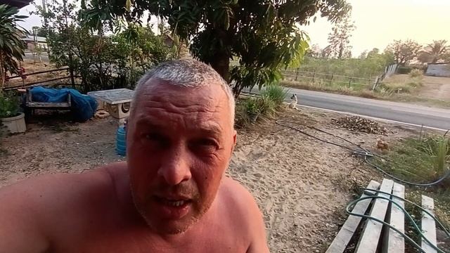 Таиланд. Бизнес в гору с каждым днём смотреть онлайн
