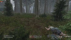 Залезли в чужую базу через окно - Dayz