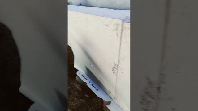 Технология приклейки пенопласта на фасады дома, вырав смотреть онлайн