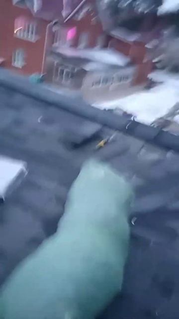 Монтаж гибкой черепицы за 2 дня смотреть онлайн