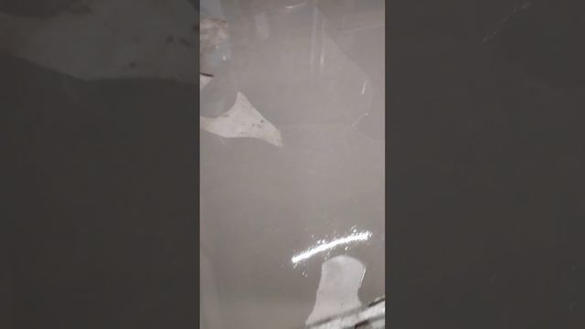 Жидкое стекло в наливной пол или гидроизоляция пола з? смотреть онлайн