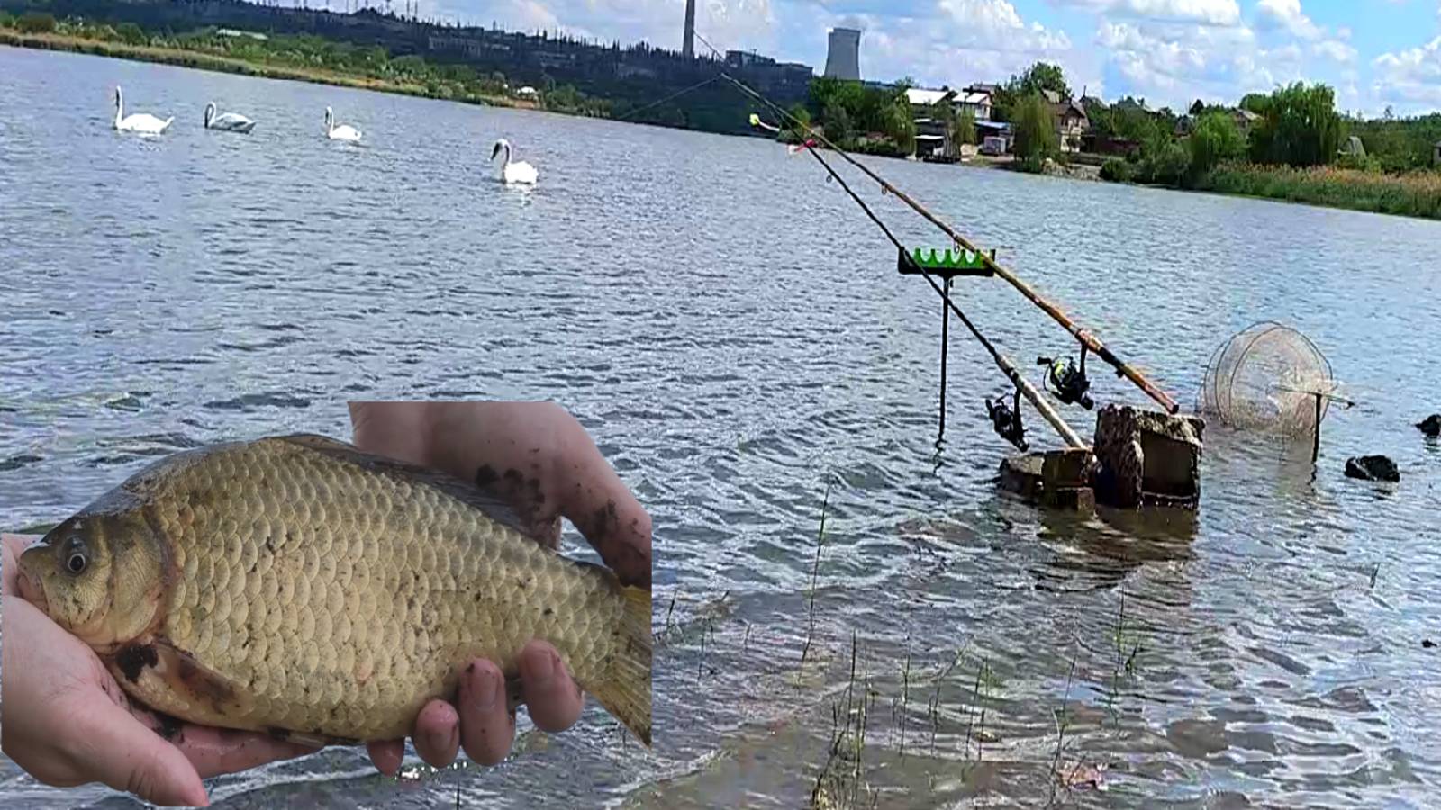 ЭТО МЕСТО РАЙ ДЛЯ РЫБАКОВ! КРУПНЫЙ КАРАСЬ НА КОРМУШКИ. ЛОВЛЯ КАРАСЯ НА ГОРОХ. ЖОР КАРАСЯ В ИЮНЕ. смотреть онлайн