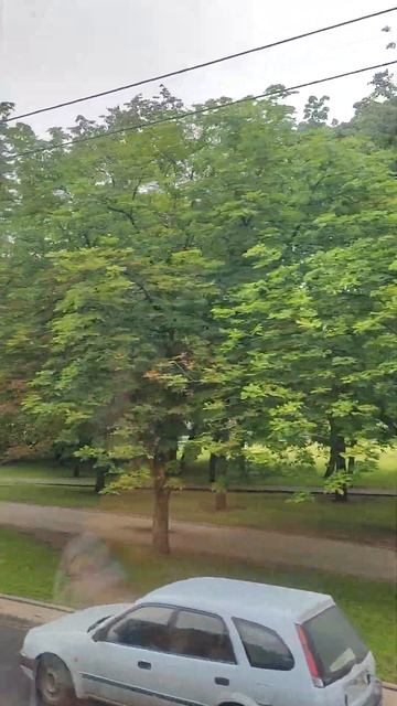 Храм всех святых 6 июля 2024 г. #храм #минск #travel #minsk смотреть онлайн