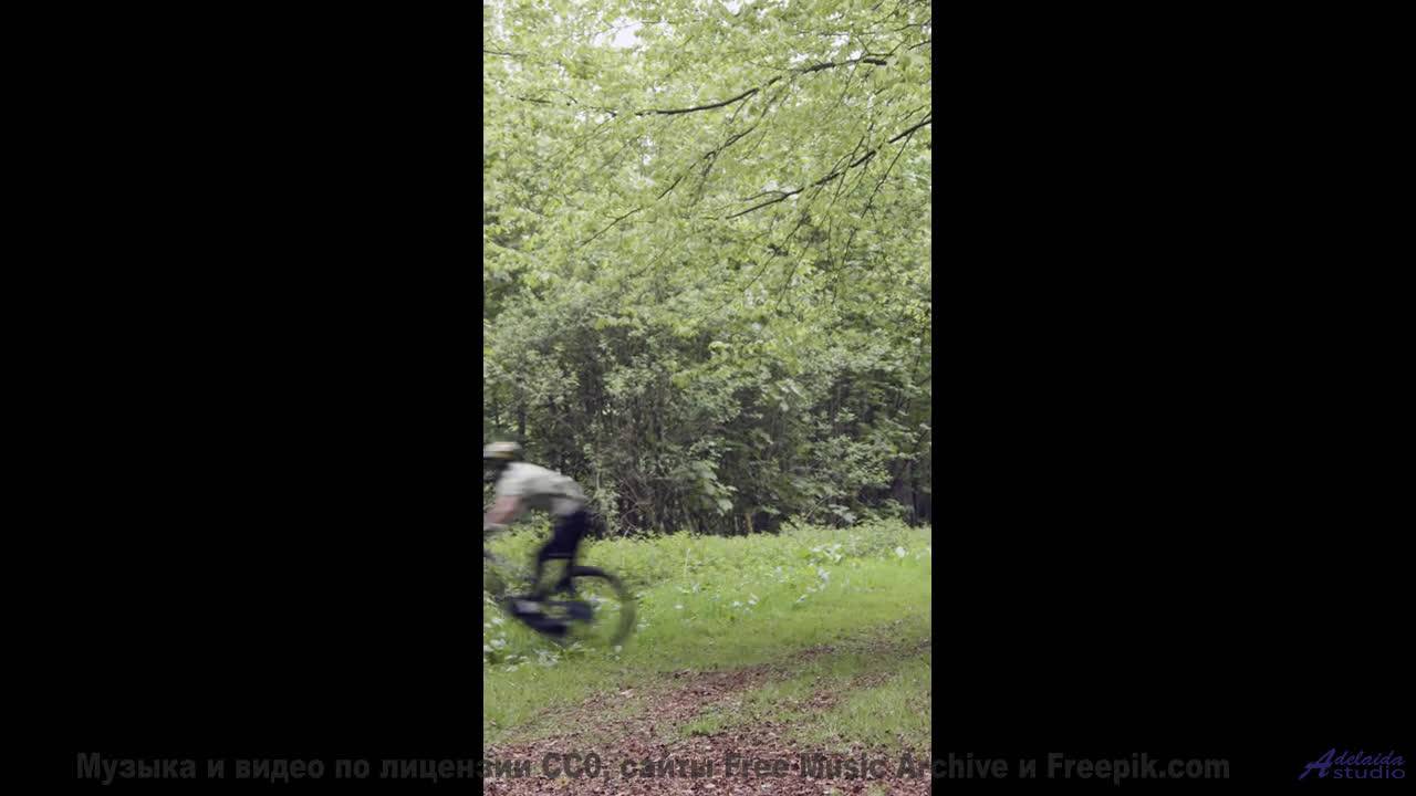 Этот бит бьёт сильнее, чем волны о скалы! - Chainlink Melody -- Podington Bear -- Said Lion To Lamb