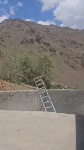 Чудеса акробатики от дагестанского медведя: косолапый упал в бетонную яму, из которой выкарабкался смотреть онлайн