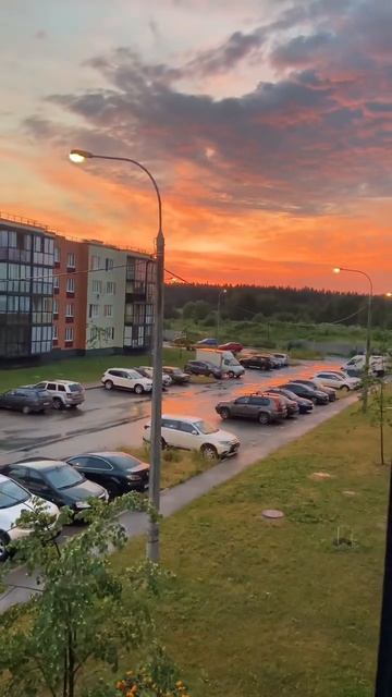 Из архива) лето, закат, сынишка и растишка😊#лето2022 #за? смотреть онлайн