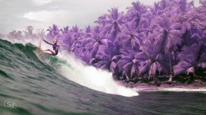 TRITICUM – Oh Love