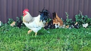 Вот и май пролетел.