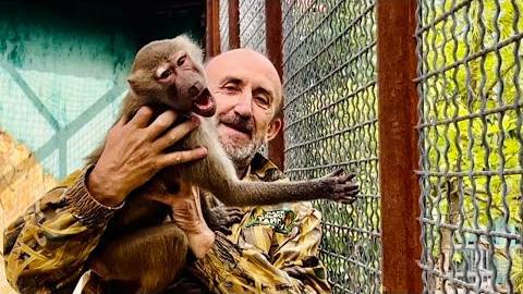 ПРОСТО СМЕХ! Вам обезьянка не нужна)) смотреть онлайн