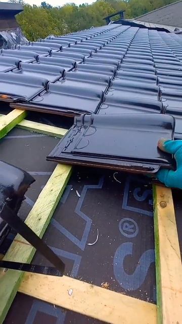 работа в Бельгии кровельщик смотреть онлайн