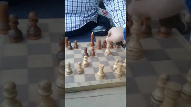 Шахматы в Екатерининском саду смотреть онлайн