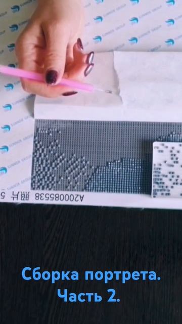 Сборка портрета. Часть 2. #алмазнаямозаика #хобби #твор? смотреть онлайн