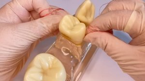 Как пользоваться зубной нитью - DoctorSand