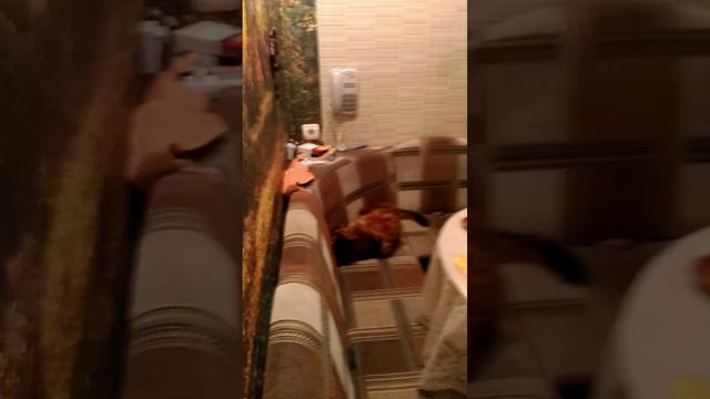 Халк великолепный