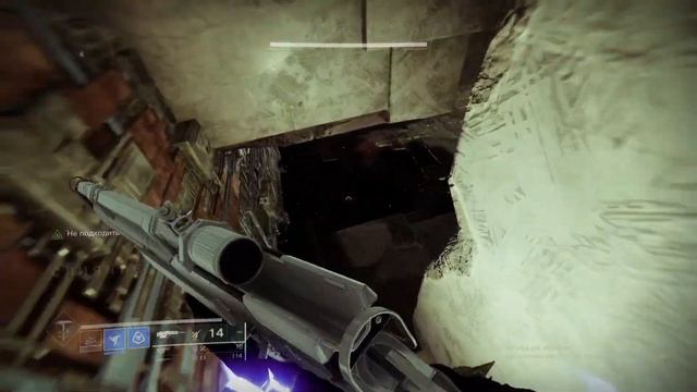 топ 5 самых крутых экзотиков - DESTINY 2