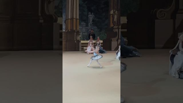 Хрупкая и нежная София Маймула. Вариация из балета «Пахита». #bolshoitheatre #ballet #paquita смотреть онлайн