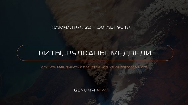 Итоги недели GENUMM от 2 июня 2025