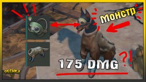 Собака наносит 100 урона | Верный друг уничтожает Острова | Last Day on Earth: Survival