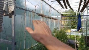 Теплица мечты, моей 12, двухэтажная теплица, монолитный