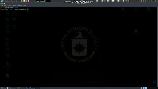 Взлом почты демонстрация в терминале!Linux version! смотреть онлайн