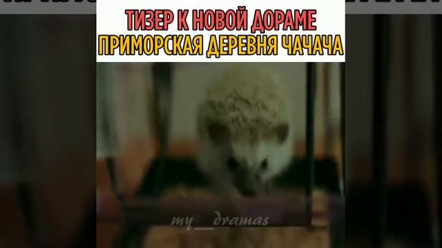 Тизер к новой дораме ‼Приморская деревня ЧаЧаЧа ‼🔥