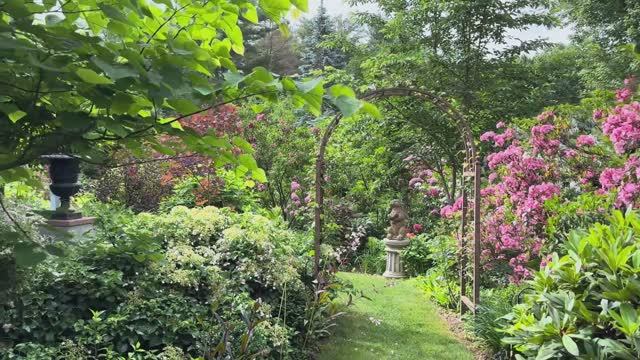 САДЫ США. ИЮНЬСКИЙ САД ПОД БОСТОНОМ ВО ВСЕЙ КРАСЕ. ИЮНЬ 2024 смотреть онлайн