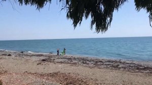 Абхазия пансионат Эвкалиптовая роща… уникальный уго?