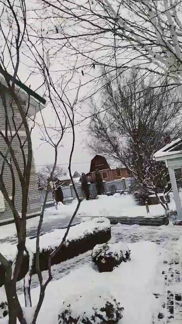 Финишные работы,кровля, металлочерепица.Работаем Мос? смотреть онлайн