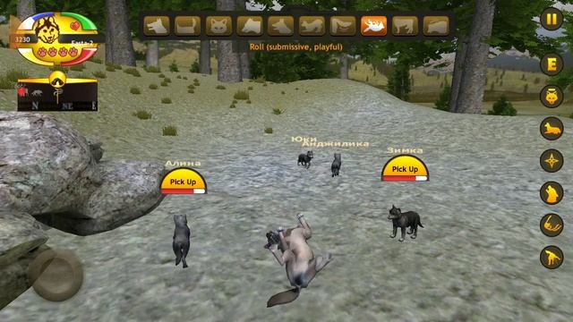 Прохождение в игре Wolf Quest со щенками смотреть онлайн