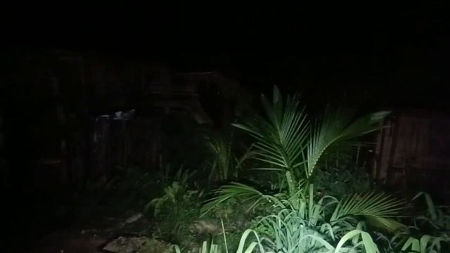 Вышли на объёмы благодаря технологии Элтона смотреть онлайн