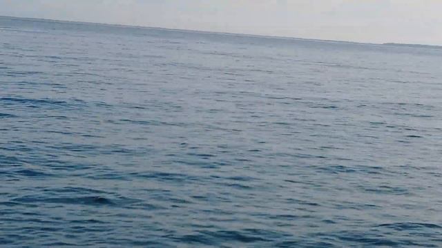 ПРИВЕТ С НИЦЦЫ 26 МАЯ 2024. ЛАСКОВЫЙ ШУМЯ МОРЯ #nice #france #cotedazur