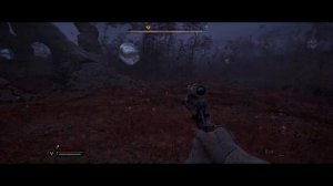 S.T.A.L.K.E.R. 2 Артефакт « Галька»