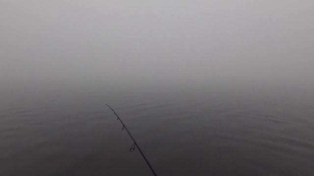 Ловим судака в Декабре на Джиг! Поролон + силикон! смотреть онлайн