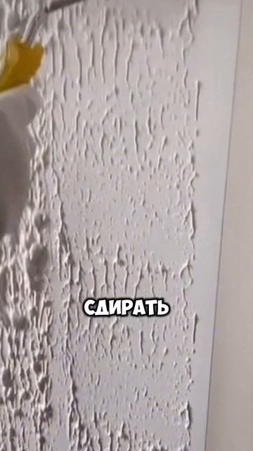 Краска или обои? Что лучше поклеить? #рекомендации смотреть онлайн