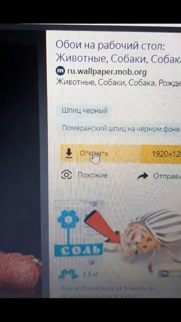 Устанавливаем обои на ноутбук #winter #зима смотреть онлайн