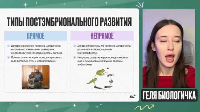 Зародышевые оболочки и постэмбриональное развитие дл