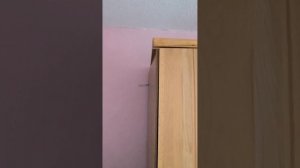 Как правильно нужно крепить шкаф к стене