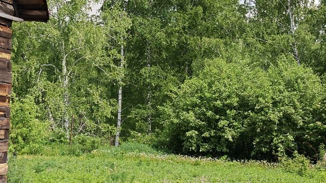 1000060446.mp4 смотреть онлайн